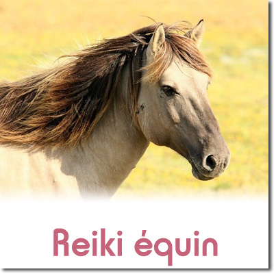 Soin reiki chevaux Var