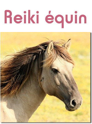 reiki_equin.jpg